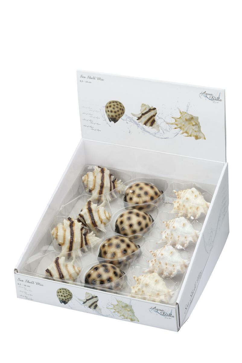 Akv. Pynt 234-418392 Skjell Ass. 8,5-10cm Sett M/12stk