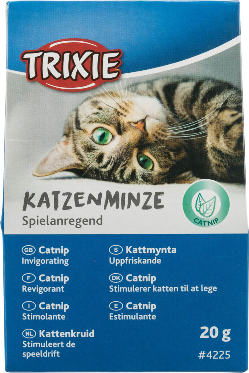 Catnip 20g (6stk)