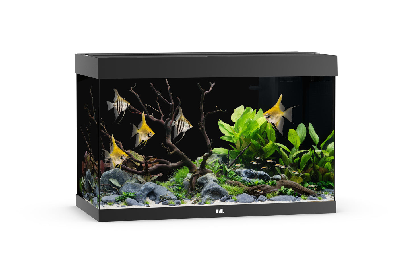 Akv. Juwel Rio 290 Sort LED Lys 290L