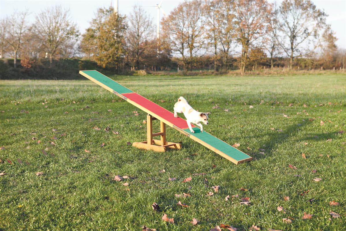 Agility Vippe 3213 300x34x54cm