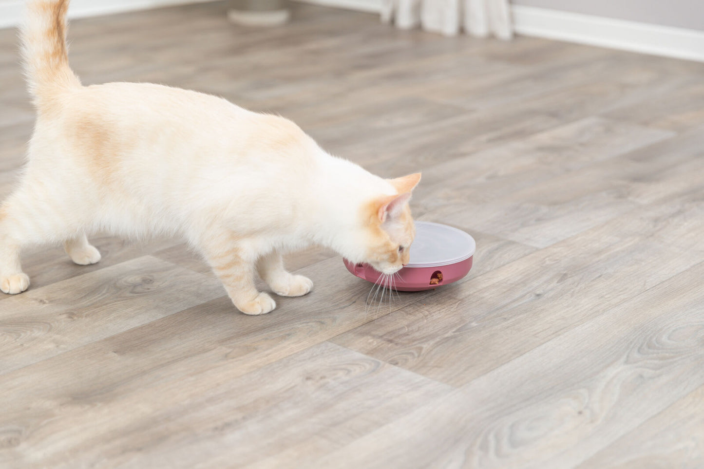 Katteleke 45933 Cat Activity Rocking Maze Ø:18cm