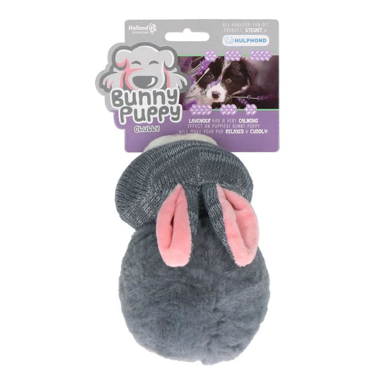 Bunny Puppy Chubby