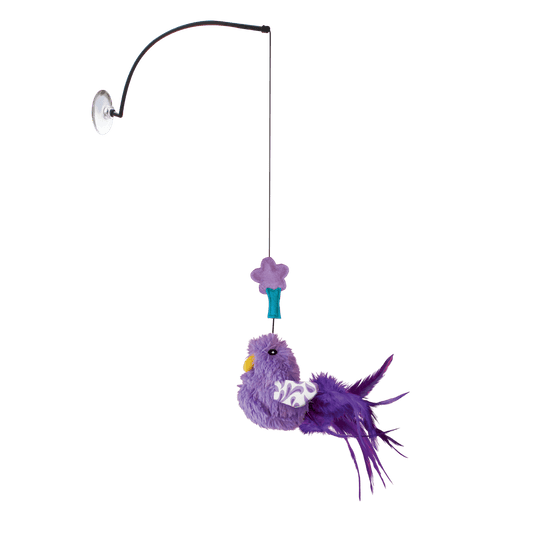 Katteleke KONG Connects Window Teaser Ass.