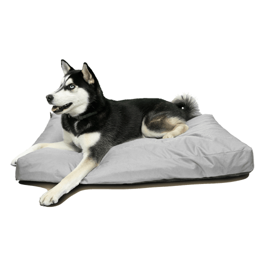 Hundepute Indoor/Outdoor Vanntett 84x56x8cm