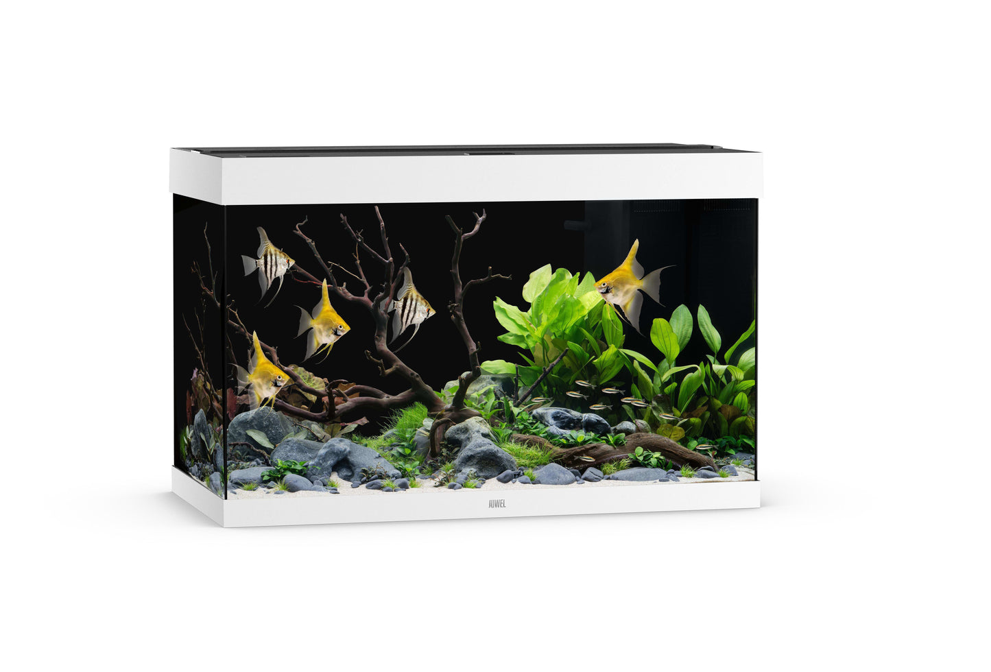 Akv. Juwel Rio 290 Hvit LED Lys 290L