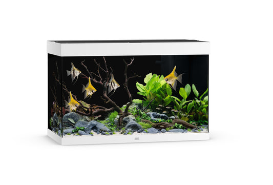 Akv. Juwel Rio 290 Hvit LED Lys 290L