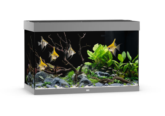 Akv. Juwel Rio 290 Grå LED Lys 290L