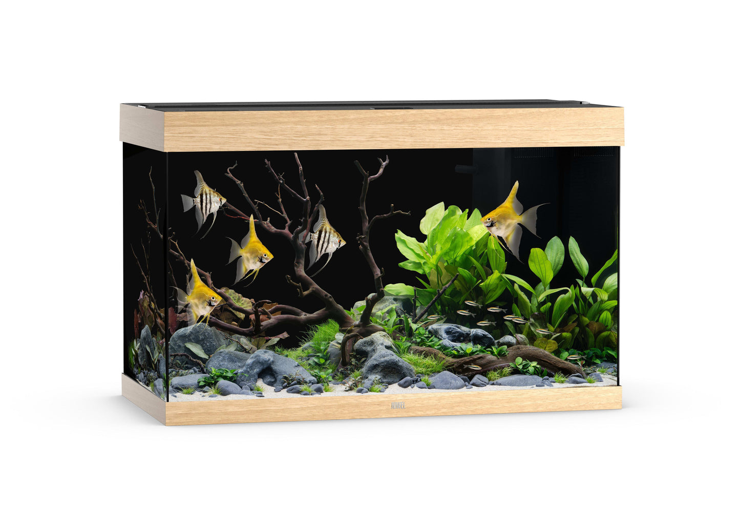 Akv. Juwel Rio 290 Eik LED Lys 290L