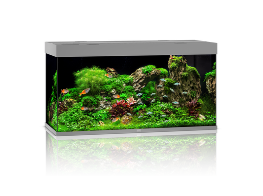 Akv. Juwel Rio 350 Grå LED Lys 350L