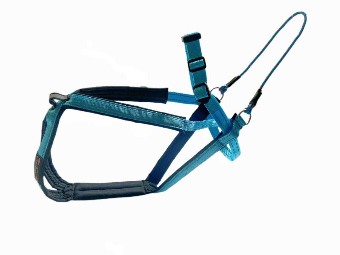 V.I.P. MULTISPORT Sele Turkis Str. 6 (Oransje) 48cm